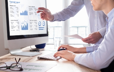 Auditing & Internal Controls