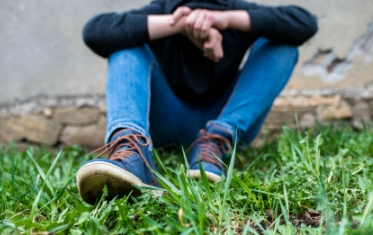 Juvenile Development, Justice, & Delinquency