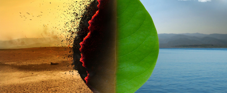 Environmental Health